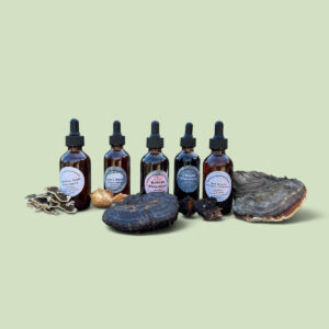 Chaga Mushroom Tincture