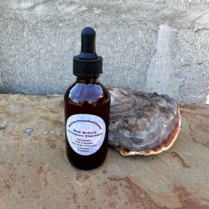 Red-Belted Polypore Mushroom Tincture