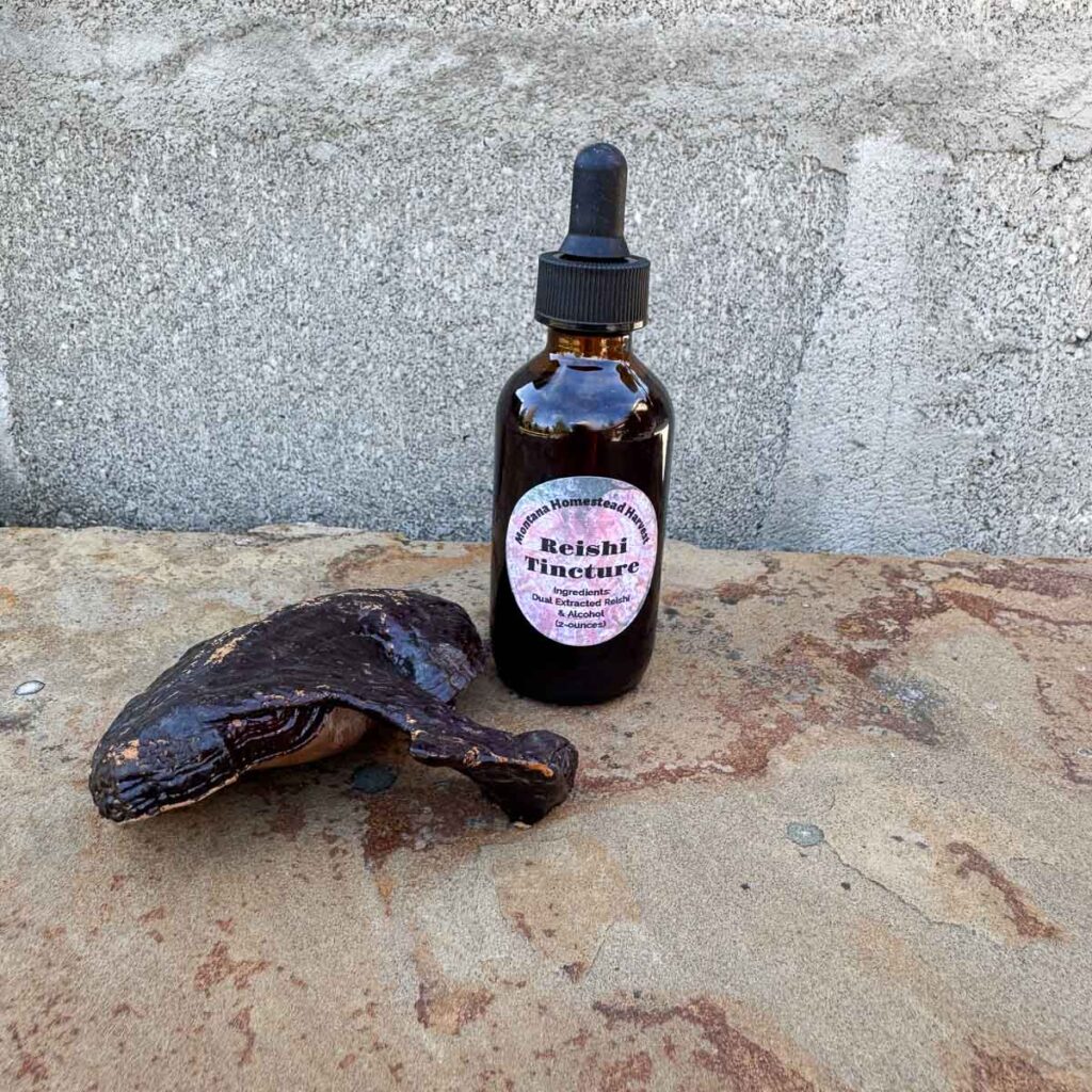 Reishi Mushroom Tincture