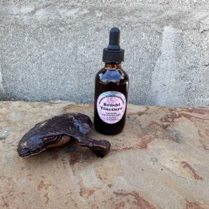 Reishi Mushroom Tincture
