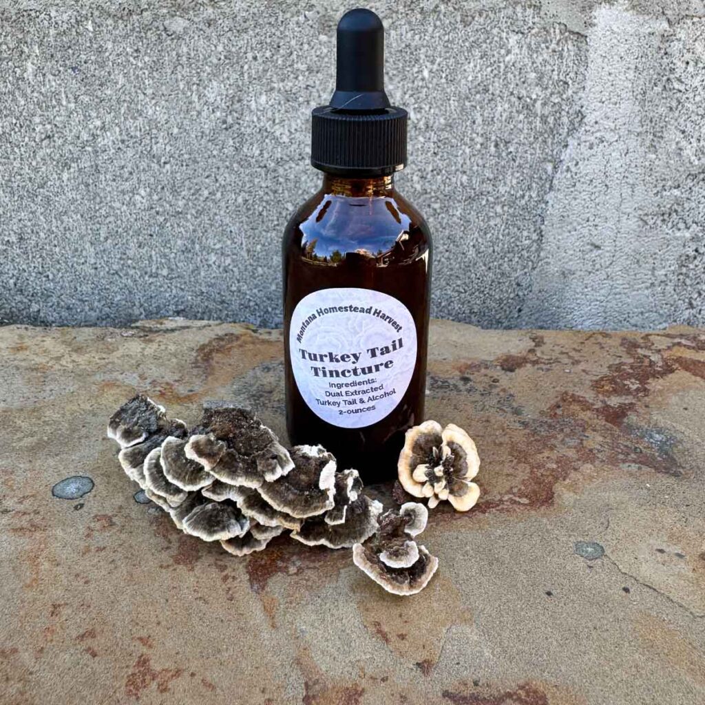 Turkey Tail Tincture