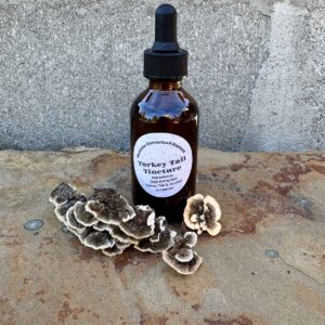Turkey Tail Tincture